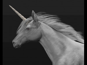 unicorn horse hair fur rigged low poly animal 3D Model