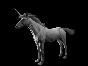 unicorn horse hair fur rigged low poly animal 3D Model