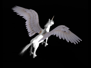 pegasus horse hair fur rigged low poly animal Modelo 3D
