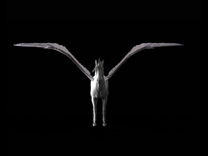 pegasus horse hair fur rigged low poly animal Modelo 3D