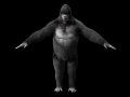 Gorilla Ape Hair Fur Rigged Low Poly Animal 3D Model