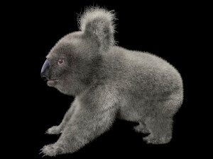 koala hair fur rigged low poly animal Modello 3D