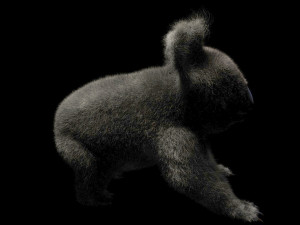 koala hair fur rigged low poly animal Modello 3D
