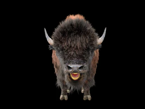 bison bull hair fur rigged low poly animal 3D Model