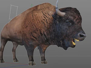 bison bull hair fur rigged low poly animal 3D Model