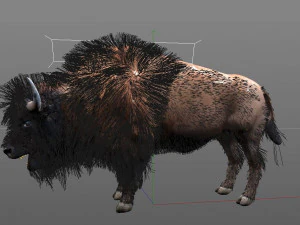 bison bull hair fur rigged low poly animal 3D Model