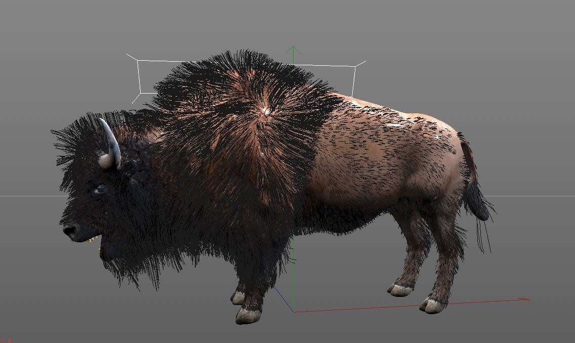 Мод бизон. Bison bull 3d model. Бизон d26.