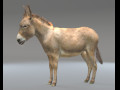 Donkey Pony Hair Fur Rigged Low Poly Animal Modèle 3D