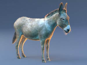 donkey pony hair fur rigged low poly animal 3D Модель