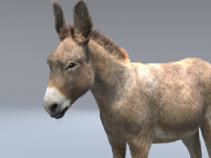 donkey pony hair fur rigged low poly animal 3D Модель