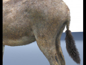 donkey pony hair fur rigged low poly animal 3D Модель