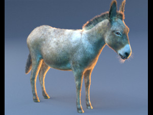 donkey pony hair fur rigged low poly animal 3D Модель