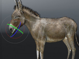 donkey pony hair fur rigged low poly animal 3D Модель