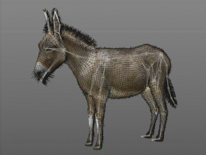 donkey pony hair fur rigged low poly animal 3D Модель