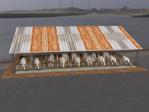 cow farm animal low poly 3D Model