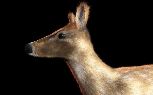 deer animal low poly Modelo 3D .c4d .max .obj .3ds .fbx .stl .blend 