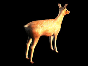 deer animal low poly Modelo 3D