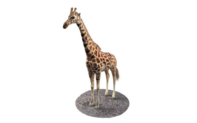 giraffe rigged animal low poly Modello 3D .c4d .max .obj .3ds .fbx .stl .blend 