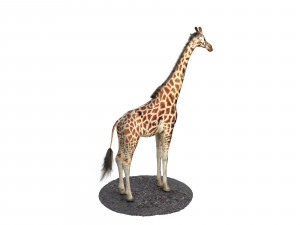 giraffe rigged animal low poly Modello 3D