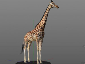 giraffe rigged animal low poly Modello 3D