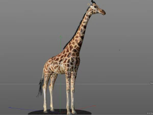 giraffe rigged animal low poly 3D Model