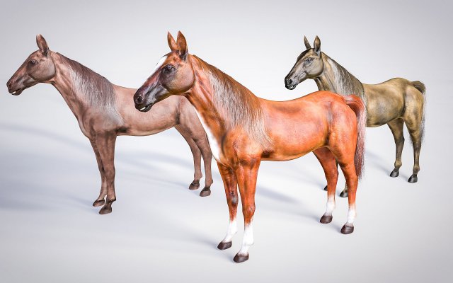 horse animal low poly 3D Modell .c4d .max .obj .3ds .fbx .stl .blend 
