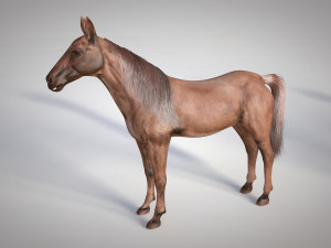 horse animal low poly 3D Modell