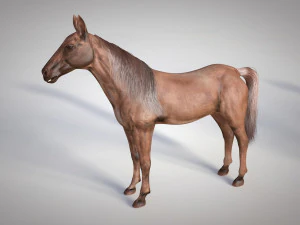 horse animal low poly 3D Model