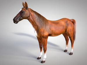 horse animal low poly 3D Modell
