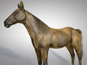 horse animal low poly 3D Modell