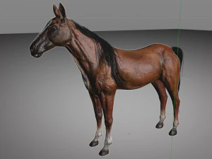 horse animal low poly 3D Model