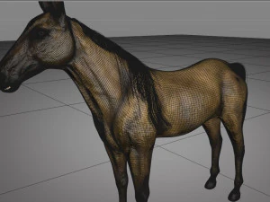 horse animal low poly 3D Model