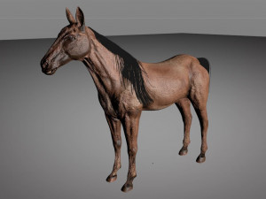 horse animal low poly 3D Modell