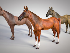 horse animal low poly 3D Modell