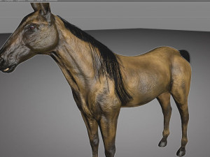 horse animal low poly 3D Modell
