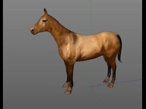 horse low poly 3D Model