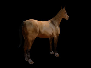horse low poly Modèle 3D
