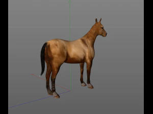 horse low poly 3D Model