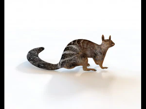 numbat rigged low poly animal 3D Model