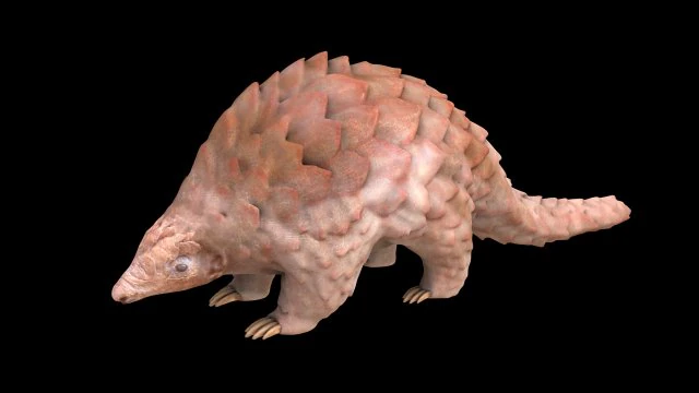 pangolin rigged low poly animal 3D Model .c4d .max .obj .3ds .fbx .stl .blend 