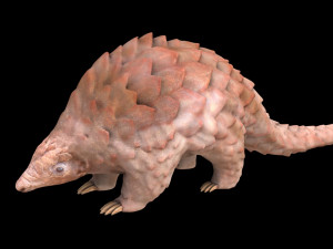 pangolin rigged low poly animal 3D Model