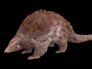 pangolin rigged low poly animal Modèle 3D