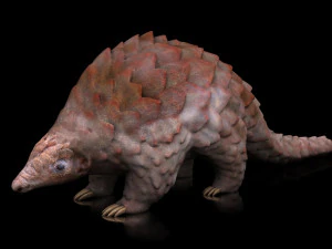 pangolin rigged low poly animal 3D Model
