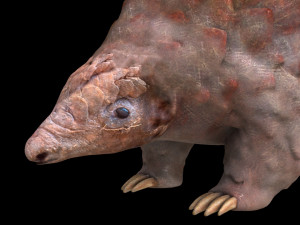 pangolin rigged low poly animal Modèle 3D