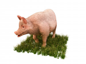 pink pig hair fur rigged low poly animal 3D Model