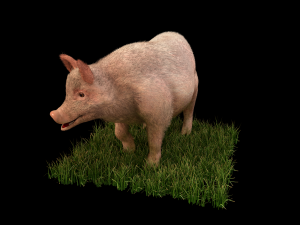 pink pig hair fur rigged low poly animal 3D Model