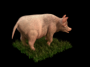 pink pig hair fur rigged low poly animal 3D Model