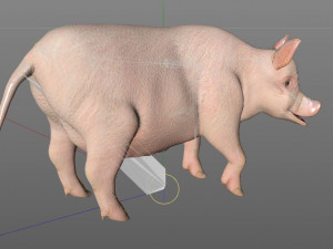 pink pig hair fur rigged low poly animal 3D Model