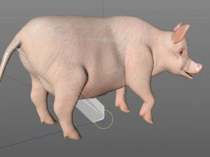 pembe domuz kılı k&uuml;rk hileli d&uuml;ş&uuml;k poli hayvan 3D Model