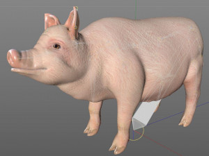 pink pig hair fur rigged low poly animal 3D Model